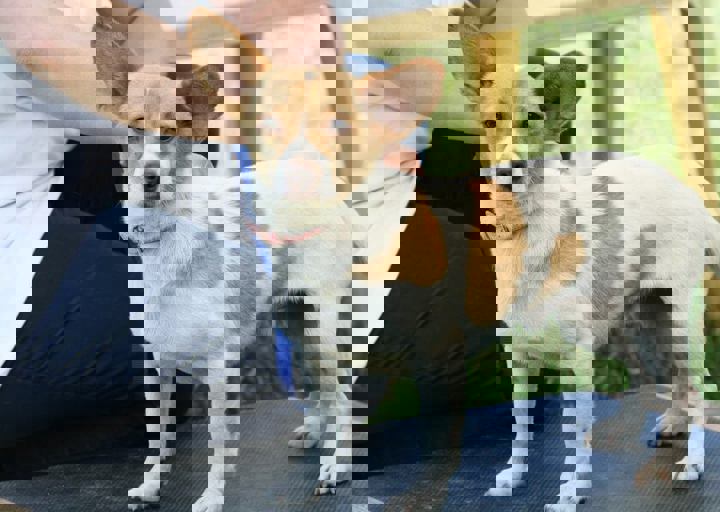 16_05220191.jpg