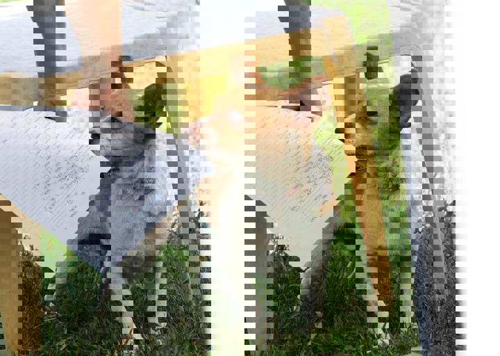 16_05220192.jpg