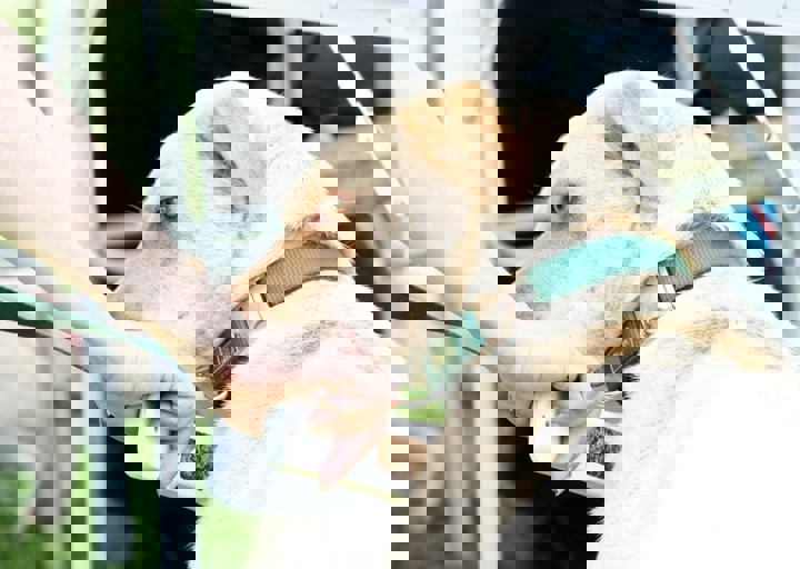 16_05220193.jpg