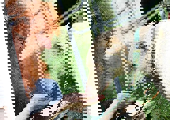 16_05220194.jpg