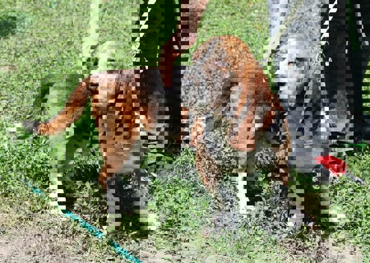 16_05220195.jpg