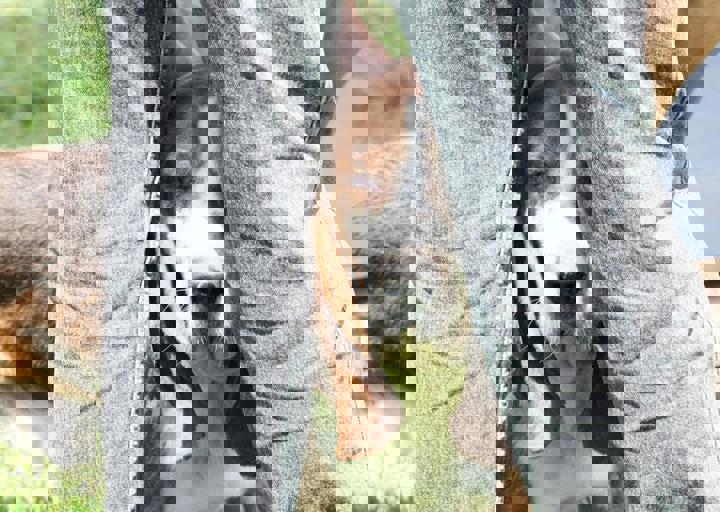 16_05220196.jpg