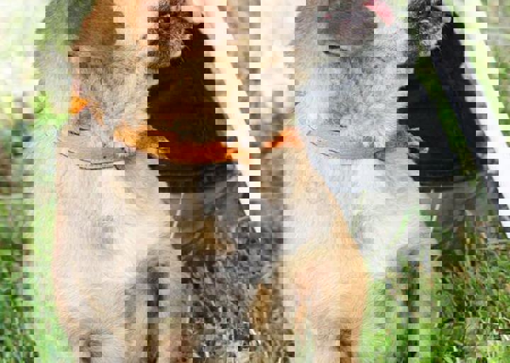 16_05220203.jpg