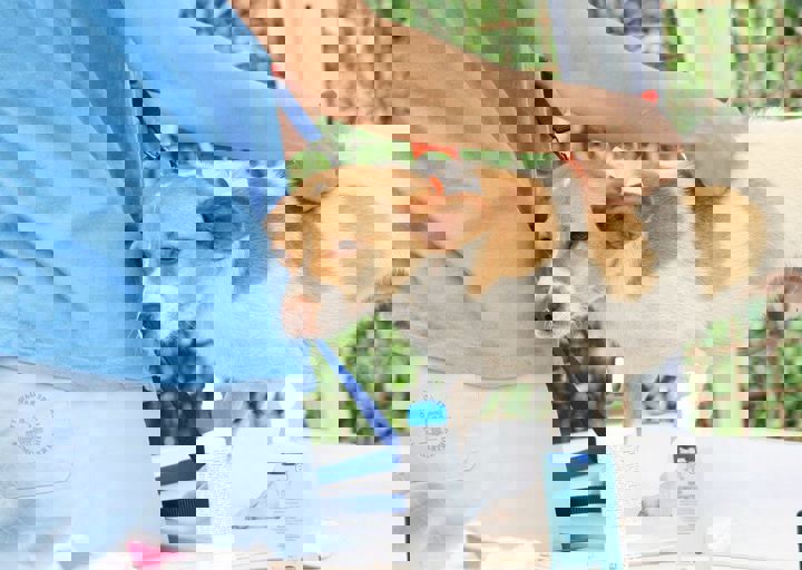 16_05220207.jpg