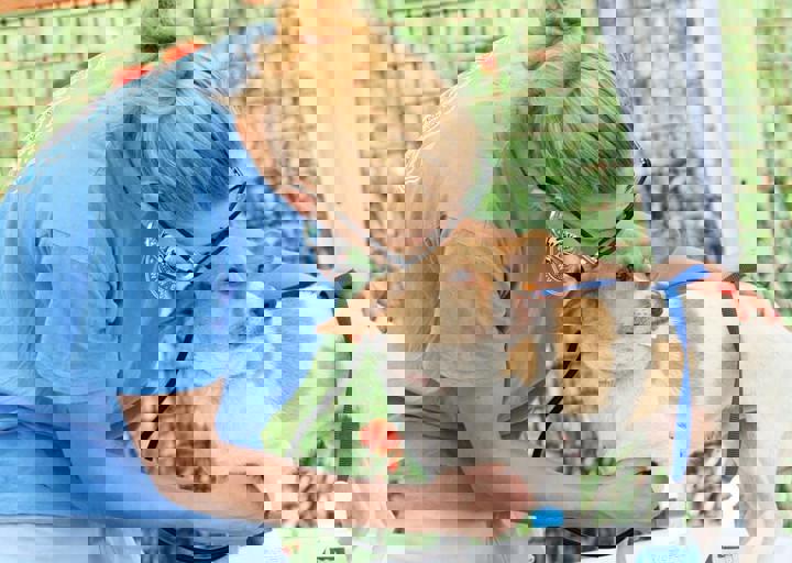 16_05220211.jpg
