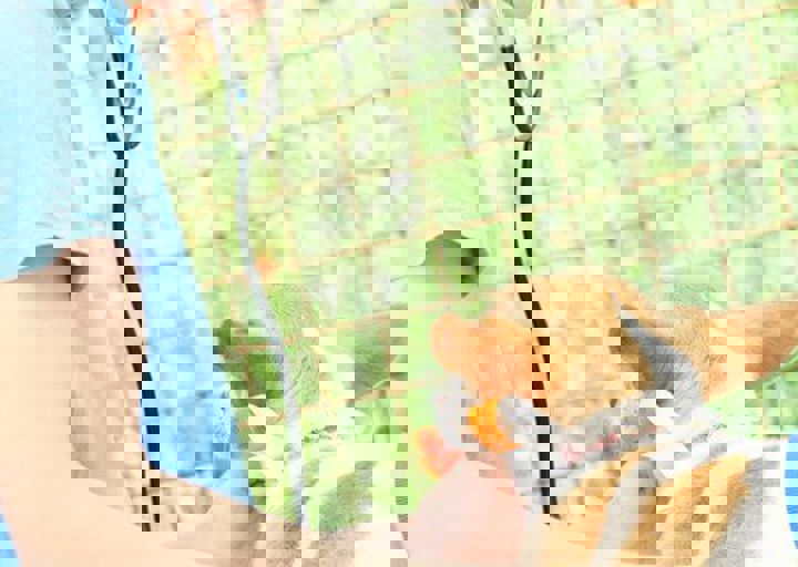 16_05220215.jpg