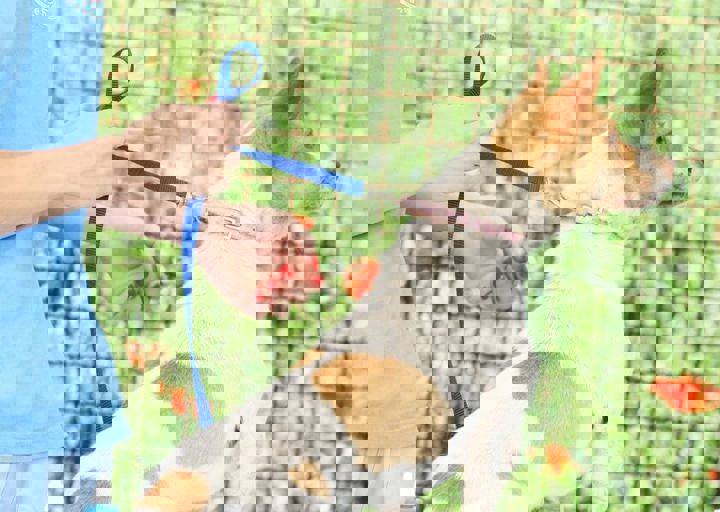 16_05220216.jpg