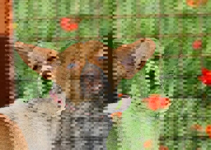 16_05220218.jpg