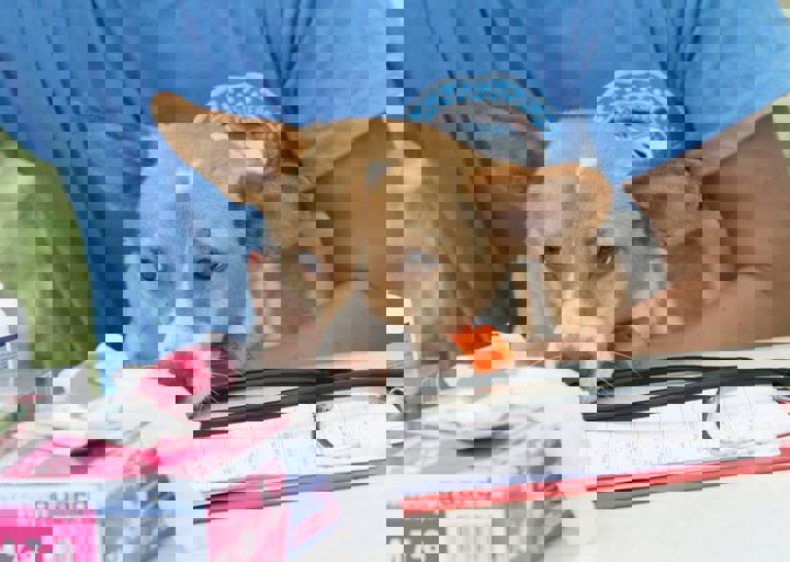 16_05220219.jpg