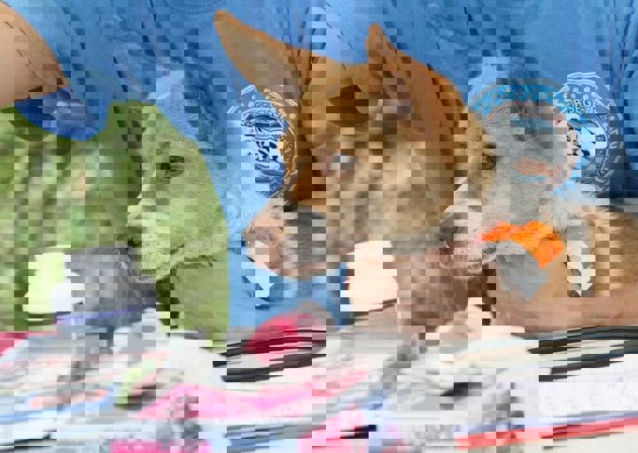 16_05220220.jpg