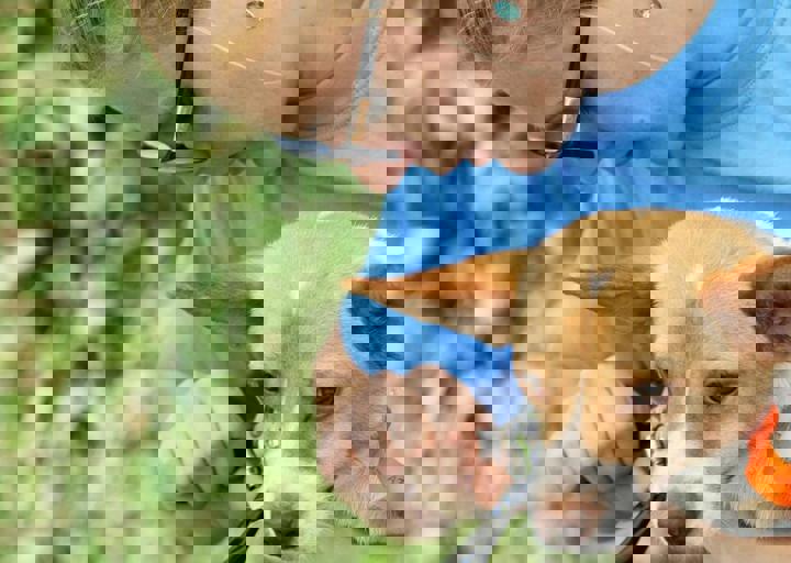 16_05220223.jpg