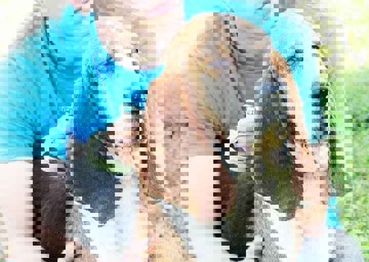 16_05220227.jpg