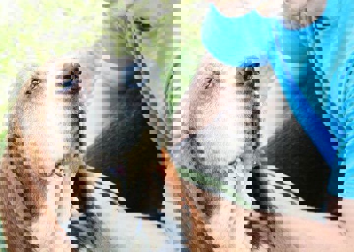 16_05220229.jpg