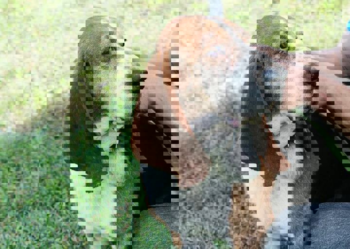 16_05220230.jpg