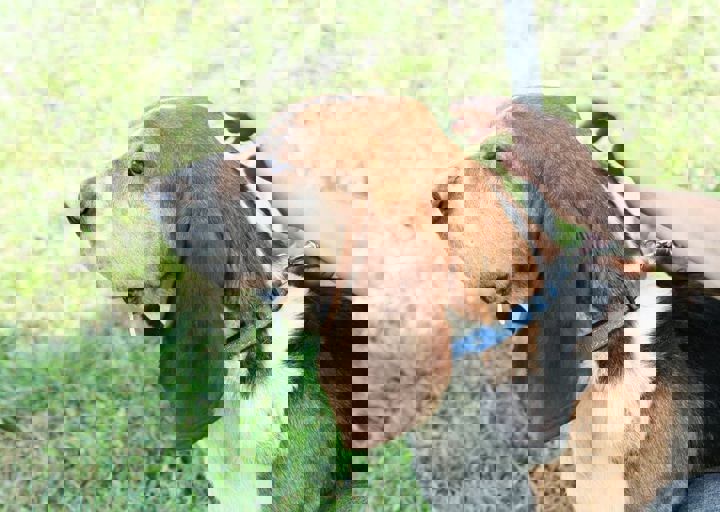 16_05220231.jpg