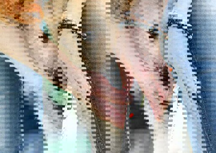 16_05220235.jpg