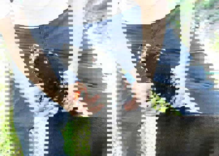 16_05220237.jpg