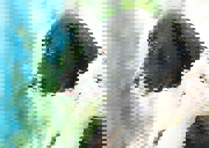 16_05220238.jpg