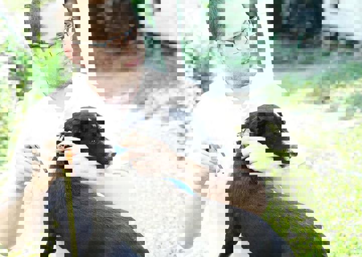 16_05220239.jpg