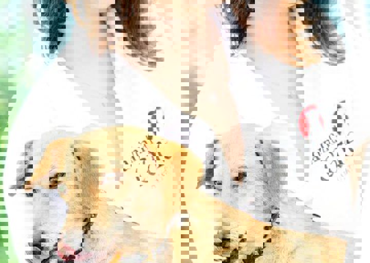16_05220241.jpg