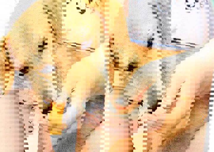 16_05220242.jpg