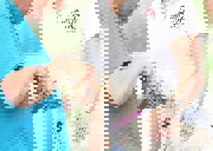 16_05220253.jpg