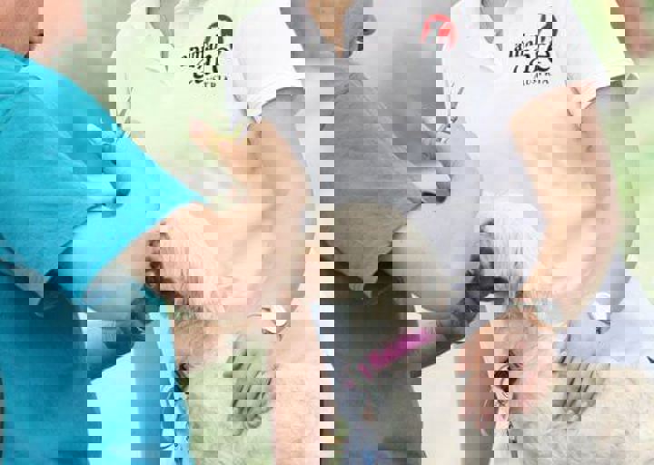 16_05220254.jpg