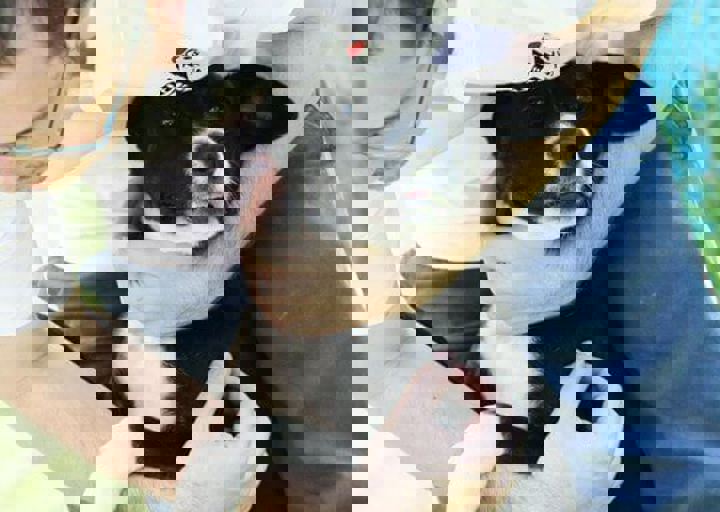 16_05220258.jpg