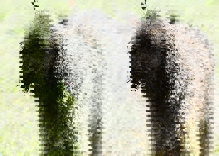 16_05220268.jpg