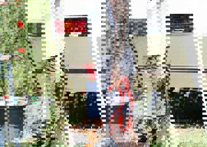 16_05220273.jpg