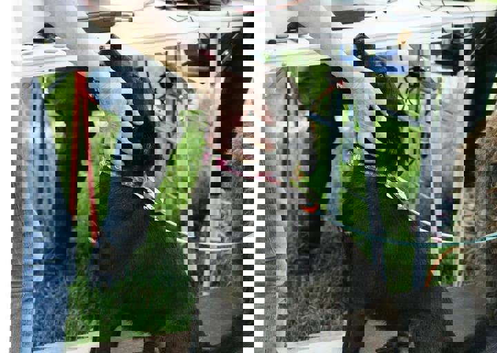 16_05220274.jpg