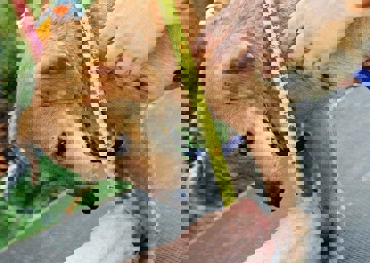 16_05220275.jpg