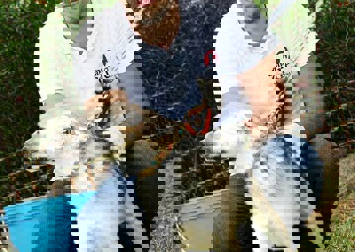 16_05220281.jpg
