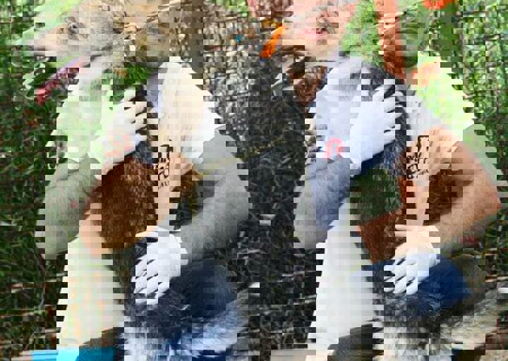 16_05220282.jpg