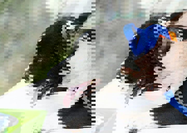 16_05220283.jpg
