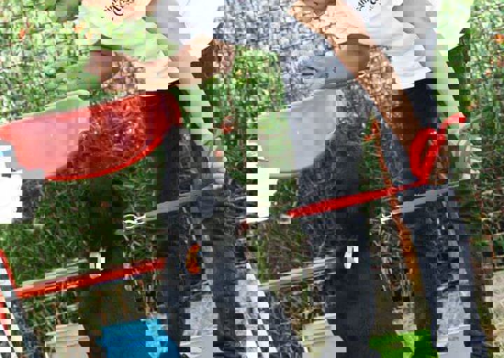 16_05220284.jpg