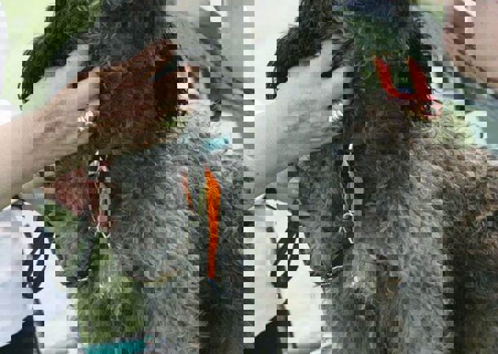 16_05220285.jpg
