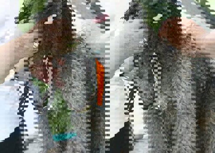 16_05220287.jpg
