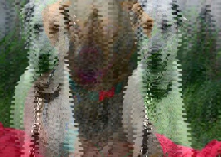 spike1.jpg