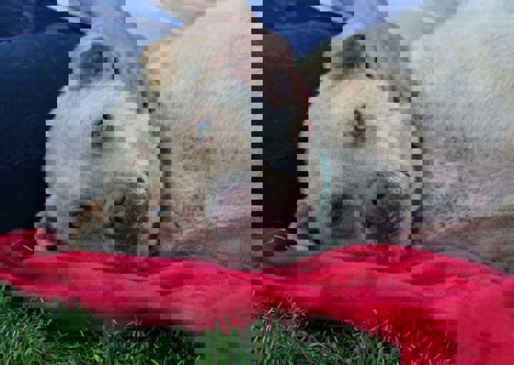 spike2.jpg