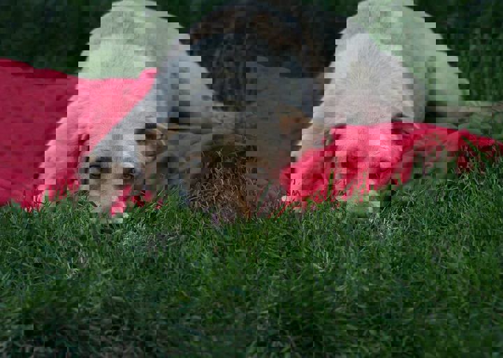spike3.jpg