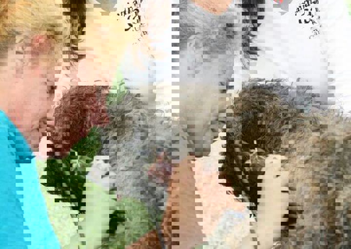 16_05220290.jpg
