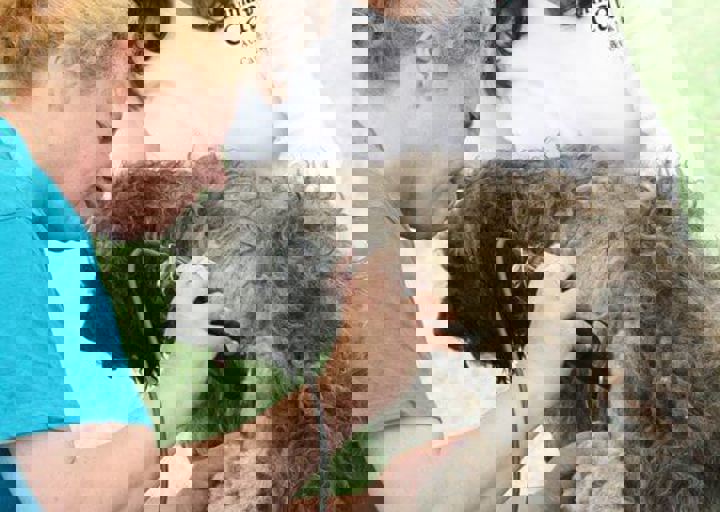 16_05220291.jpg