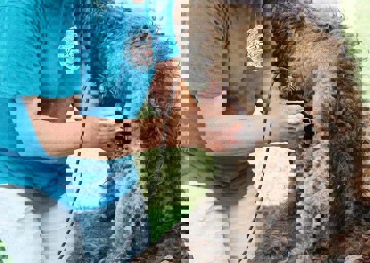 16_05220292.jpg