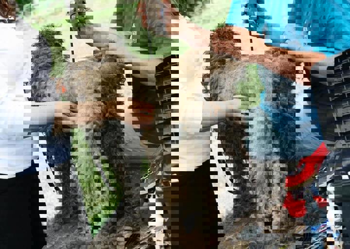 16_05220293.jpg