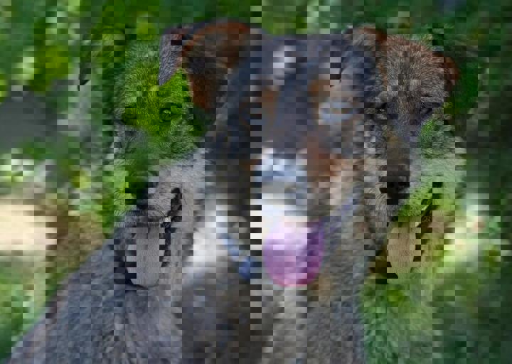 sue5.jpg