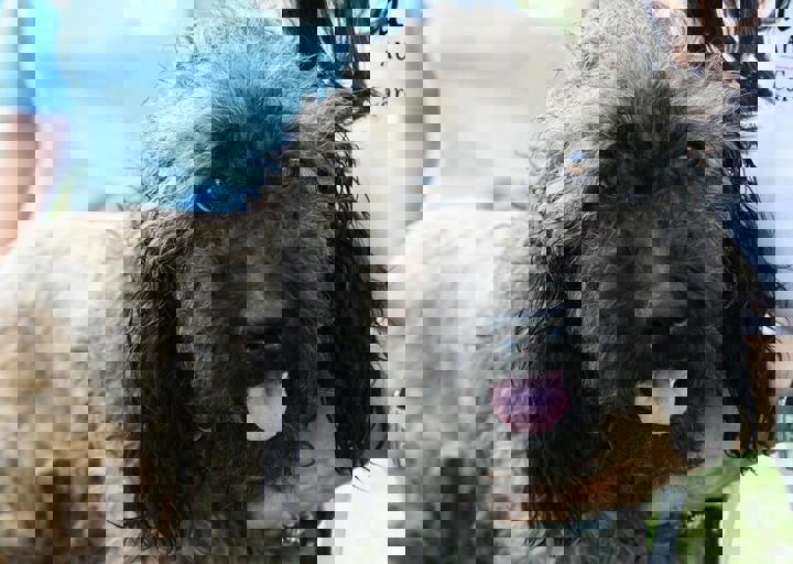 16_05220298.jpg