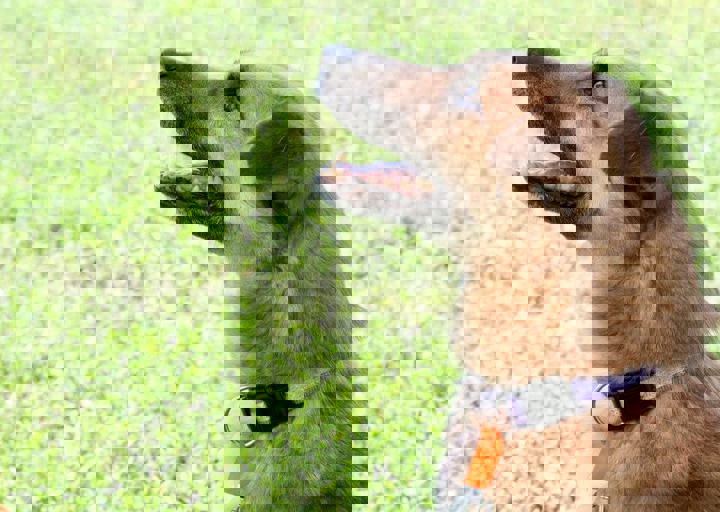 16_05220299.jpg