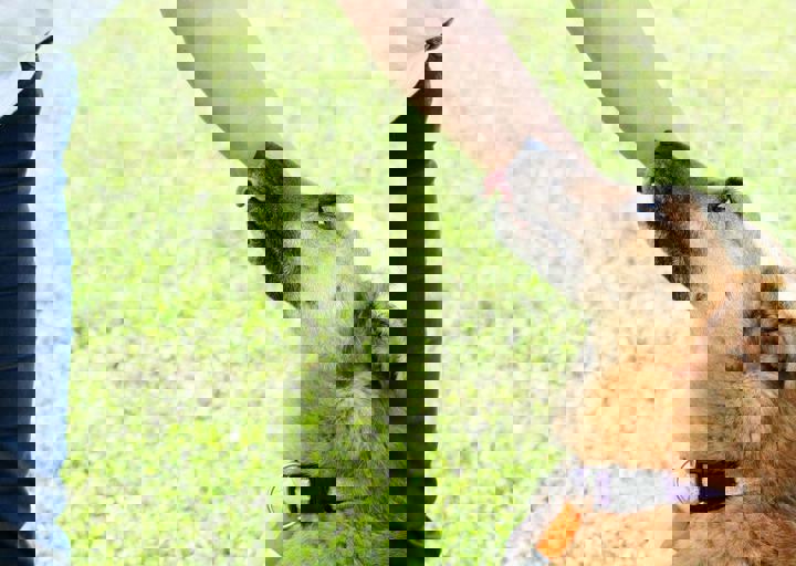 16_05220300.jpg