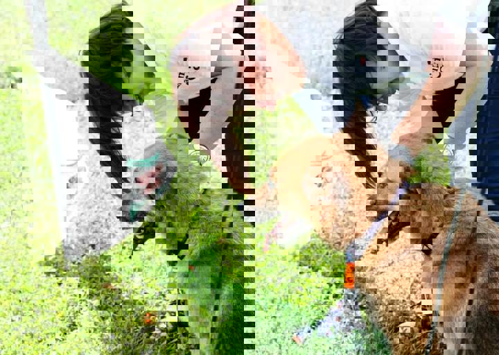 16_05220301.jpg